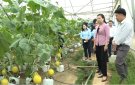 Trung ương Hội Nông dân Việt Nam thăm quan một số mô hình sản xuất nông nghiệp công nghệ cao tại huyện Đông Sơn